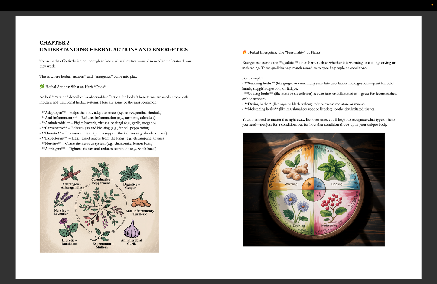 The Lost Home Apothecary Ebook Digital download