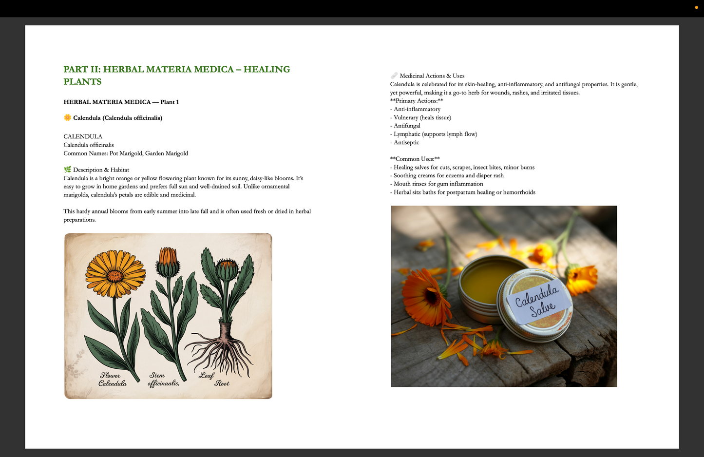 The Lost Home Apothecary Ebook Digital download